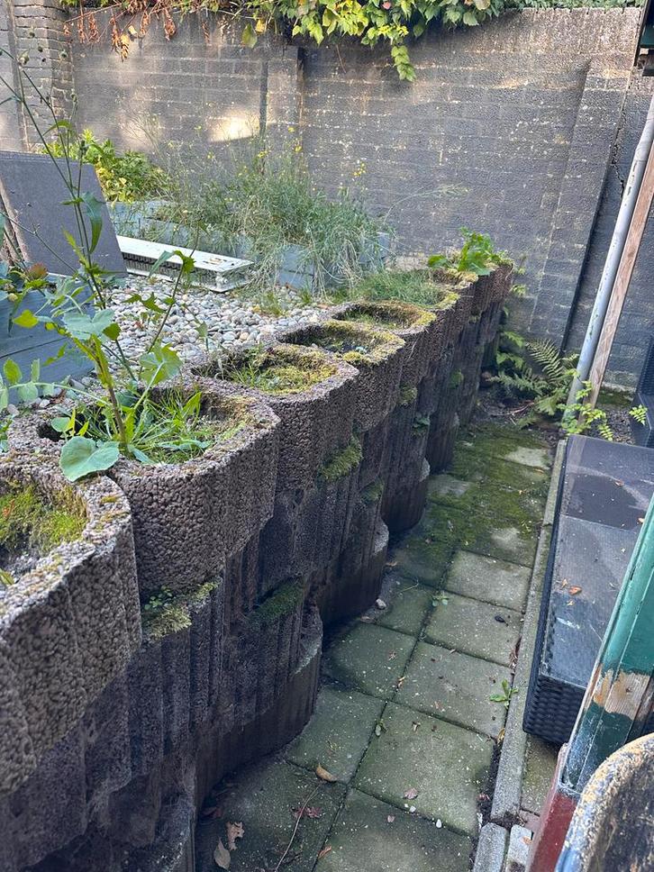 Grindbeton Plantenbakken/Muurblokken (40 stuks), Tuin en Terras, Bloembakken en Plantenbakken, Gebruikt, Beton, Balkon, 30 tot 60 cm