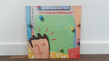 Diethelm / Famulari – Valleys In My Head LP / Vinyl Plaat beschikbaar voor biedingen