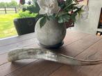 Hoorn van Longhorn 61 cm, Huis en Inrichting, Woonaccessoires | Overige, Ophalen of Verzenden, Gebruikt