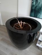 Zwarte grote bloempot, Ophalen, Kunststof, Minder dan 60 cm, Rond