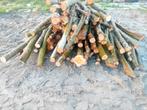 Stammen wilgenhout, Tuin en Terras, Minder dan 3 m³, Ophalen