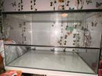 Hamster kooi 80x50x50, Kooi, Gebruikt, Hamster, 75 tot 110 cm