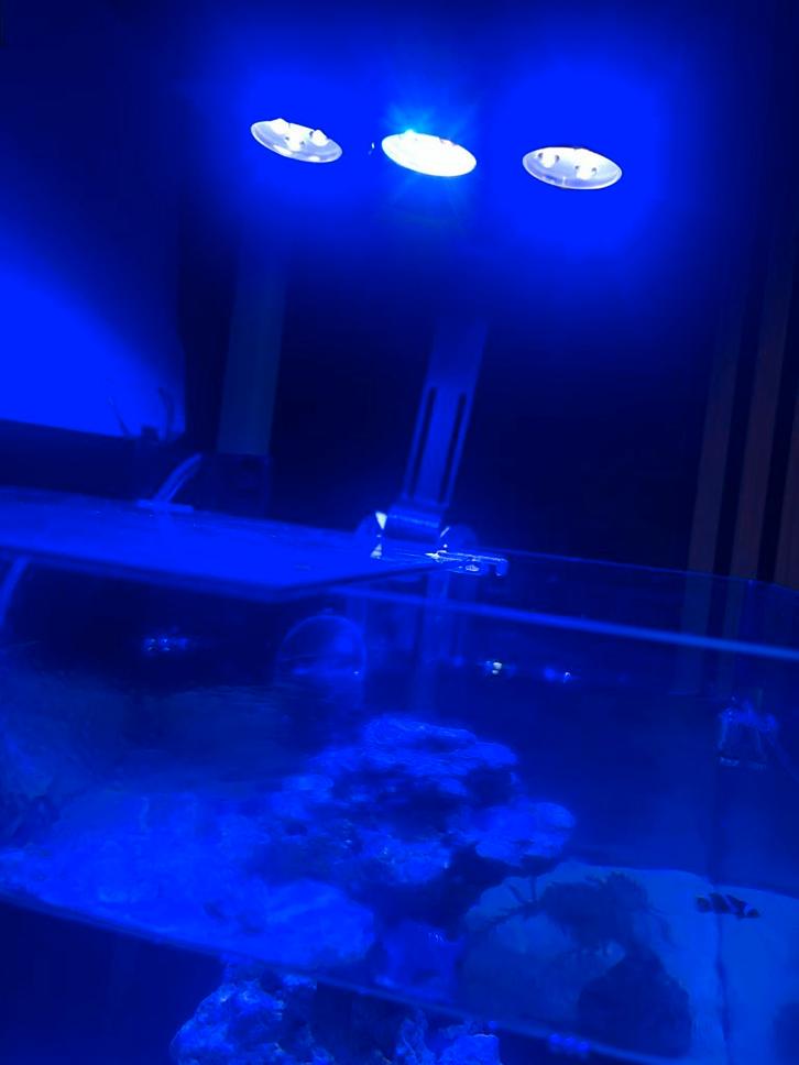 Zee aquarium blue marine, Dieren en Toebehoren, Vissen | Aquaria en Toebehoren, Zo goed als nieuw, Gevuld zeewateraquarium, Ophalen of Verzenden