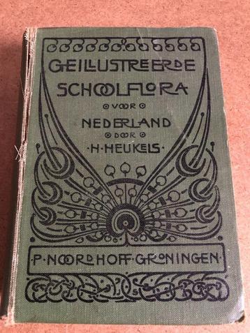 Antiek Boek  H. Heukels Geillustreerde Schoolflora 1924