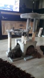 kittens    geb 5 juni 11 poesje, Dieren en Toebehoren, Poes, Ontwormd