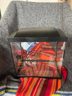 Aquarium met toebehoren, Dieren en Toebehoren, Vissen | Aquaria en Toebehoren, Ophalen of Verzenden, Zo goed als nieuw, Leeg aquarium