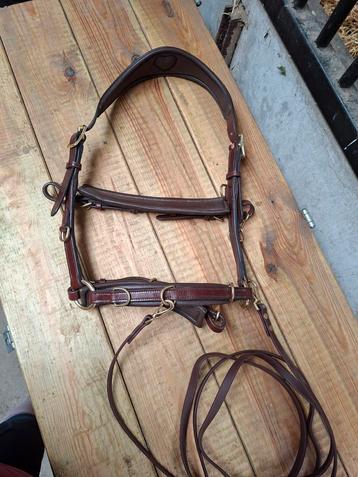 Kaptoom H&H incl. teugels beschikbaar voor biedingen