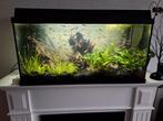 Aquarium zwart 80 x 40 x 35 met kap en verlichting, Ophalen, Leeg aquarium