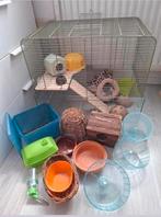 Knaagdier kooi met veel extras, Dieren en Toebehoren, Kooi, Gebruikt, Minder dan 75 cm, Hamster