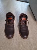 Enkellaarzen panama jack bota panama misuri c bruin maat 43w, Kleding | Heren, Schoenen, Bruin, Boots, Ophalen of Verzenden, Gedragen