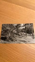 Norg. Langeloerduinen, Ophalen of Verzenden, 1960 tot 1980, Gelopen, Drenthe