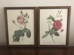 Set van 2 lijsten kaders bloemen  rozen achter glas, Ophalen of Verzenden
