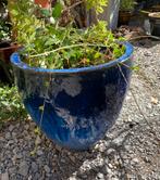 Mooie marineblauwe geglazuurde bloempot., Rond, Tuin, Zo goed als nieuw, Minder dan 40 cm