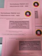 PARKEREN & PINKPOP - 2 MIN LOOPAFSTAND!, Twee personen