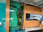 Juwel vision 180, Dieren en Toebehoren, Ophalen, Gebruikt, Gevuld zoetwateraquarium