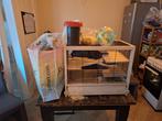 Hamsterhok met toebehoren, Dieren en Toebehoren, Knaagdieren en Konijnen | Hokken en Kooien, Minder dan 75 cm, Zo goed als nieuw