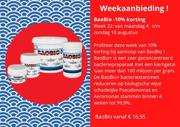 baobio koi vijver  beschikbaar voor biedingen