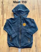 Vingino Daley Blind Vest Maat 110, Trui of Vest, Ophalen of Verzenden, Zo goed als nieuw, Vingino