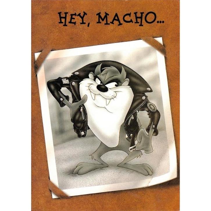 Looney Tunes kaart – Taz bij Stichting Superwens!, Diversen, Wenskaarten, Nieuw, Ophalen of Verzenden