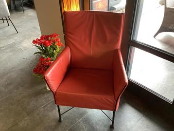 Pracht Charly van Montis in kleur Tomaten rood ! beschikbaar voor biedingen