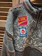 Noorse skiteam trui, Maat 52/54 (L), Etten-Leur, DJT@dejuistetoon.eu, Ophalen of Verzenden