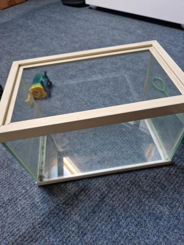 klein aquarium beschikbaar voor biedingen