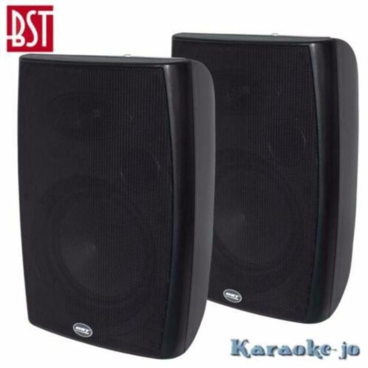 BST 270T 100Volt Luidspreker set 2-weg 30 Watt, Audio, Tv en Foto, Luidsprekers, Nieuw, Overige typen, Minder dan 60 watt, Overige merken