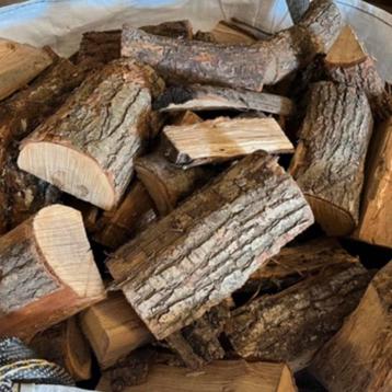 Droog eikenhout beschikbaar voor biedingen