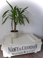 Grote kist / salon tafel Moët et Chandon champagne / vintage, Minder dan 50 cm, 50 tot 100 cm, Grenenhout, Zo goed als nieuw