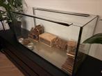 Hamster hok / aquarium / terrarium 100x40x50cm, Ophalen, Zo goed als nieuw