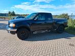 Ford F150, Ophalen of Verzenden
