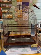 Te Koop diverse Surinaamse en Braziliaanse kooien, Dieren en Toebehoren, Meerdere dieren, Wildzangvogel