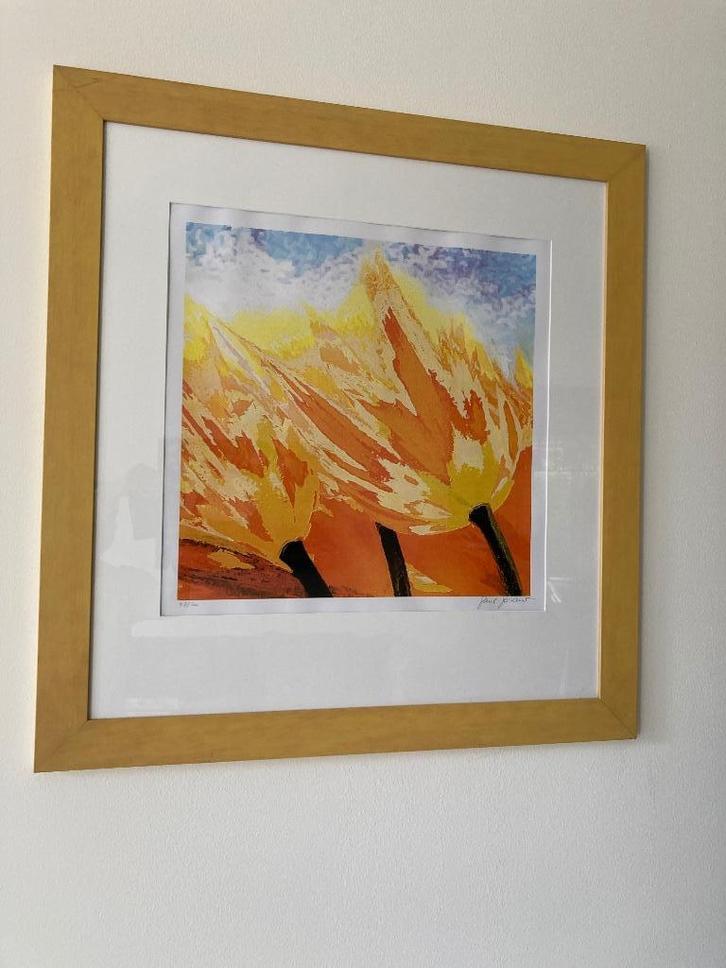 Paul Brand zeefdruk Tulips groot, Antiek en Kunst, Kunst | Schilderijen | Modern, Ophalen