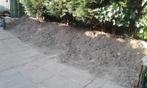 Gratis Tuingrond, Tuin en Terras, Aarde en Mest, Ophalen, Tuinaarde