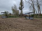 Paddock paradise, 1 paard of pony