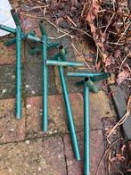 Daksteunen, Ophalen of Verzenden, Volle zon, Overige soorten, Minder dan 100 cm