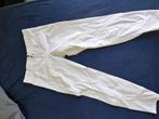 Wedstrijd rijbroek, Dieren en Toebehoren, Dressuur, Zo goed als nieuw, Dames, Onderkleding