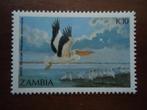 Vogel pelikaan Zambia 1987, mi. 407 postfris, Ophalen of Verzenden, Postfris, Dier of Natuur