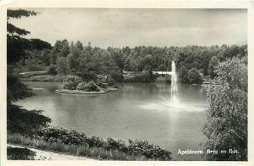 (380-048-009) Apeldoorn Berg en Bos beschikbaar voor biedingen