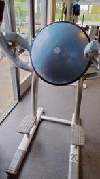 Life fitness BOSU Ball leg raise, Ophalen, Gebruikt