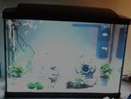 Aquarium 40L Superfish, Dieren en Toebehoren, Vissen | Aquaria en Toebehoren, Ophalen, Gebruikt, Leeg aquarium