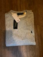 Ralph lauren trui grijs maat L, Ophalen of Verzenden, Zo goed als nieuw, Grijs