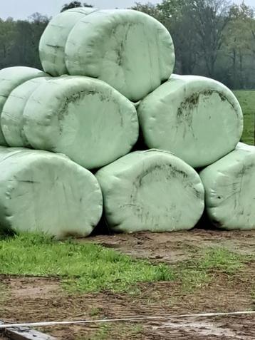 Hooi / Natuurgras / Kruidenrijk beschikbaar voor biedingen
