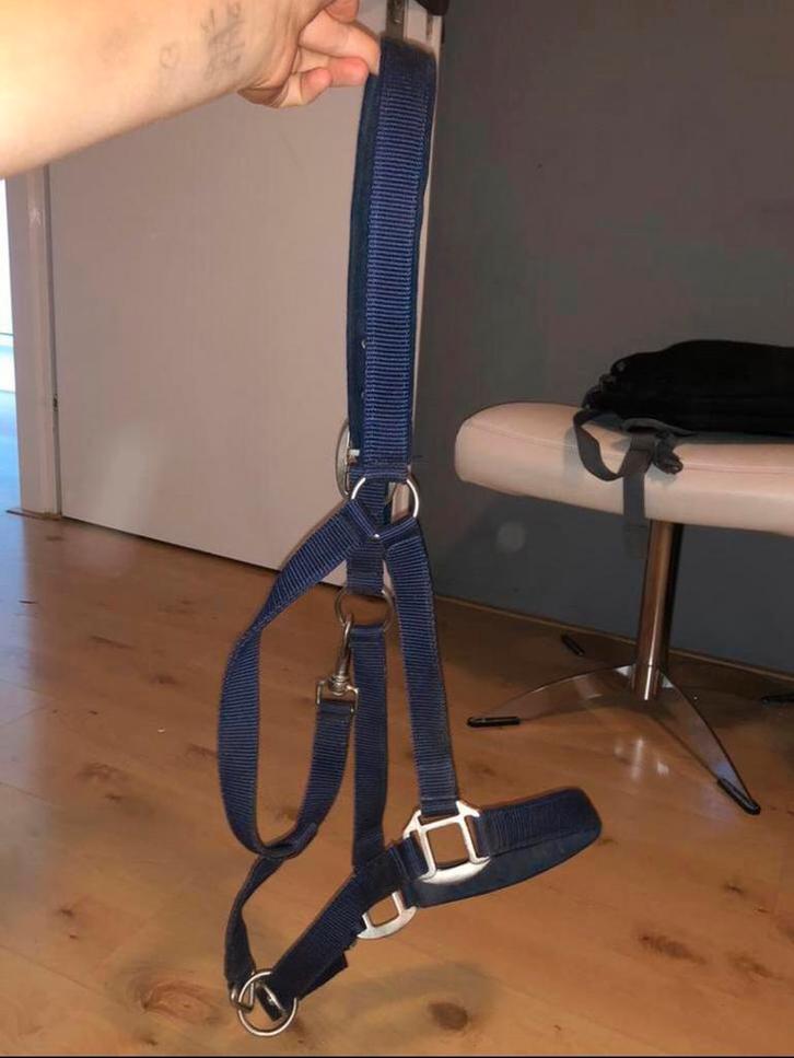 Blauw halster, Dieren en Toebehoren, Paarden en Pony's | Hoofdstellen en Tuigage, Zo goed als nieuw, Overige soorten, Ophalen of Verzenden