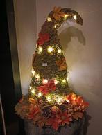 Heksenhoed van mos., Ophalen, Nieuw