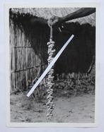 oude foto uit CONGO 18 x 24 cm  congopresse, Antiek en Kunst, Ophalen of Verzenden