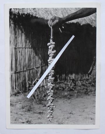 oude foto uit CONGO 18 x 24 cm  congopresse beschikbaar voor biedingen