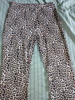 Leopard flared legging - Zeeman maat 42, Kleding | Dames, Zeeman, Beige, Maat 42/44 (L), Ophalen of Verzenden