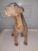 Steiff dromedaris 45 cm hoog, Verzamelen, Ophalen of Verzenden, Zo goed als nieuw, Stoffen beer, Steiff