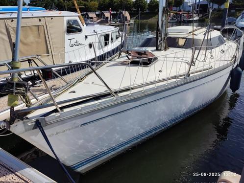 Jeanneau-Fantasia 27, Watersport en Boten, Kajuitzeilboten en Zeiljachten, Gebruikt, Tourjacht of Cruiser, Polyester, 6 tot 9 meter